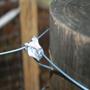 Imagem de Caixa de gripple tclip com 200 peças
