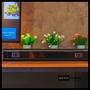 Imagem de Caixa De Som Knup KP-RO802 Soundbar Rgb Led Usb Multimídia Kp Notebook Tv Cor Preto