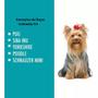 Imagem de Caixa de Transporte Cães Grandes Yorkshire e Gato N4 Oferta