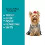 Imagem de Caixa de Transporte de Pet Animal Pequeno Porte N2 Vermelho