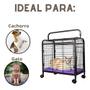 Imagem de Caixa De Transporte Gaiola Portátil Pets Leva Pet Gatos Cães