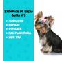 Imagem de Caixa De Transporte Para Cachorro Gato Coelho N2 Peq. Porte