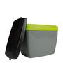 Imagem de Caixa térmica 6 litros cinza com verde mor