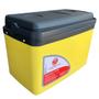 Imagem de Caixa térmica Cooler 15L Alça Tampa bandeja Floripa Unitermi Cerveja Água Suco Praia Churrasco