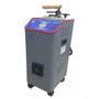 Imagem de Caldeira a Vapor Lanmax com Ferro Passar Industrial 4500w
