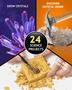 Imagem de Calendário do Advento Japace Science 2024 - 24 Experimentos para Crianças (8-12 anos)