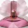 Imagem de Calvin Klein Euphoria Perfume Feminino EDT 100ml