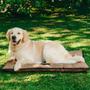 Cama Cachorro pet G 97 x 67 x 9 Marron - Solo Pet Imagem de Cama Cachorro pet G 97 x 67 x 9 Marron