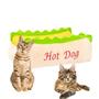 Imagem de Cama Caminha Pet Hot Dog  72cm X 50cm Pra Cachorro e Gato Luxo Fundo Impermeável-994HotDog