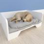 Imagem de Cama Caminha Sofá Casa Para Pet, Cachorro,MDF Branco