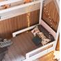 Imagem de Cama Casinha Montessoriana Solteiro - Branco/Rosa