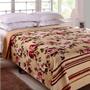 Imagem de Cama cobertor raschel king ref 369