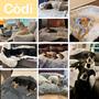 Imagem de Cama de cachorro Codi para animais de estimação grandes que acalmam o sofá com capa lavável