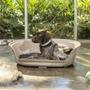 Imagem de Cama para Cachorro com Almofada Plástica Rimax