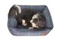 Imagem de Cama para Cachorro Mabuu Pet - Azul com Linhas - Tamanho P