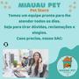 Imagem de Cama Para Gato Almofada + Caixa de Areia de Gato + Caixa Para Transportar Pets + Coleira Gato + Tapetinho