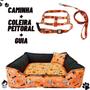 Imagem de Cama Pet Cachorro Gato Quadrada Estampada 52 X 52 X 17 M +