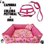 Imagem de Cama Pet Cachorro Gato Quadrada Estampada 62 X 62 X 18 G +