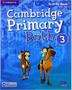 Imagem de Cambridge primary path 3 ab with practice extra - 1st ed - CAMBRIDGE BILINGUE