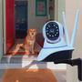 Imagem de Camera robo ip wi-fi 360º 2 antenas pet ou baba eletronica com aplicativo yoosee