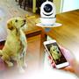 Imagem de Câmera robô pet baba eletrônica com áudio microfone cartão 32gb aplicativo de celular acesso remoto