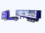 Imagem de Caminhão Man F2000 Container 1:43 NewRay
