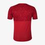 Imagem de Camisa Fluminense 24/25 s/n Treino Umbro Masculina - Vermelho