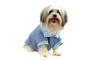 Imagem de Camisa Índigo Blue para Cachorro e Gato Pet