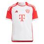 Imagem de Camisa Infantil 1  FC Bayern 23/24