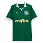 Imagem de Camisa masculina palmeiras 2024 verde home oficial original