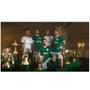 Imagem de Camisa masculina palmeiras 2024 verde home oficial original