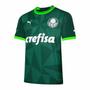 Imagem de Camisa Masculina Palmeiras Home I Torcedor 2023 Verde