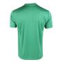 Imagem de Camisa Masculina Palmeiras SPR Palestra Itália Verde Waves