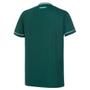 Imagem de Camisa oficial palmeiras verde masculina home iii licenciada