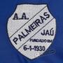 Imagem de Camisa Palmeiras de Jaú - Modelo I