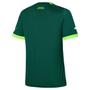 Imagem de Camisa Palmeiras I 23/24 s/nº Torcedor Puma Feminina