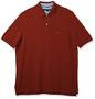 Imagem de Camisa polo Tommy Hilfiger Big and Tall para homens Regal Red 3GG