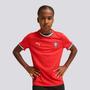 Imagem de Camisa Puma Portugal Home 2025 Juvenil