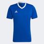 Imagem de Camiseta Adidas Entrada 22 Masculina