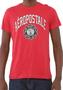 Imagem de Camiseta Aeropostale Masculina NY City College Vermelha