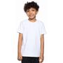 Imagem de Camiseta Básica Infantil Juvenil Menino 100% Algodão Premium Gola Redonda