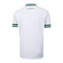 Imagem de Camiseta betel palmeiras score juvenil