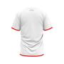 Imagem de Camiseta Braziline Flamengo Limb Masculina - branca