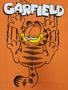 Imagem de Camiseta Garfield Blusa Infantil Desenho Maj1193