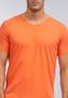 Imagem de Camiseta Gola V