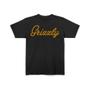 Imagem de Camiseta Grizzly Back Script Logo Tee