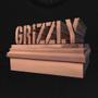 Imagem de Camiseta Grizzly Monument Masculina Preto