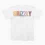 Imagem de Camiseta Grizzly Terra Cotta Ss Tee