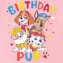 Imagem de Camiseta Infantil Paw Patrol Skye, Rubble e Marshall - Tamanho 2T