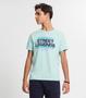 Imagem de Camiseta Juvenil Masculina Minty Azul